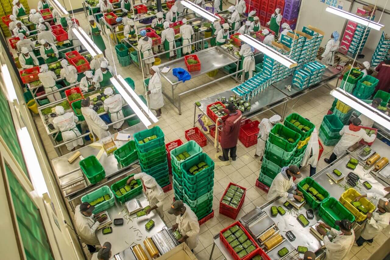 packhouse